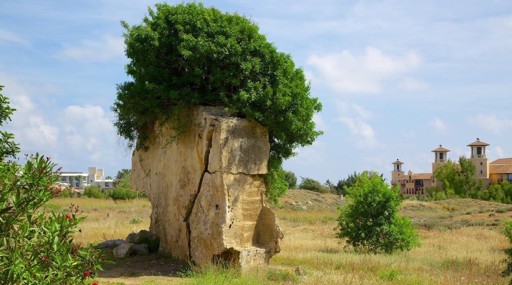 Kongegravene som omfatter en ruin