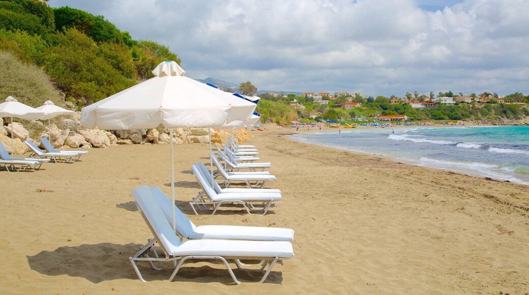 Korallviken som inkluderar en strand