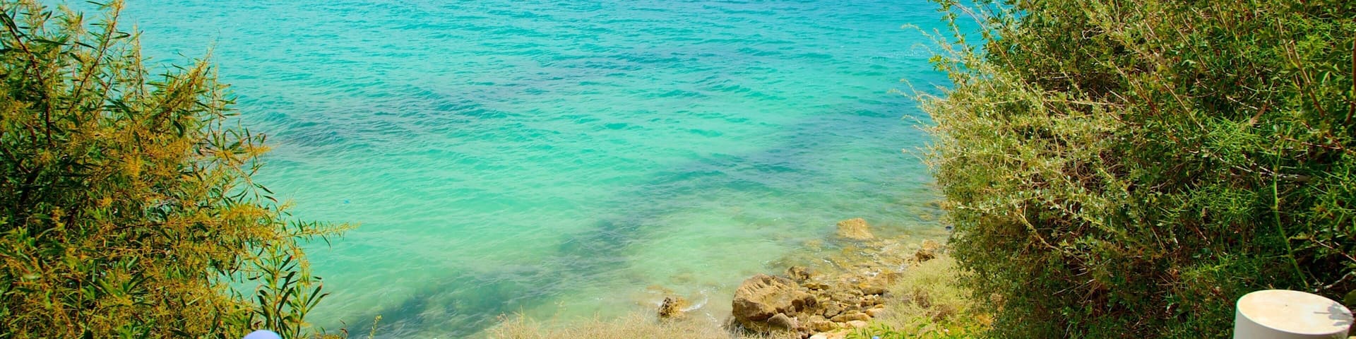 Coral Bay Beach featuring general coastal views