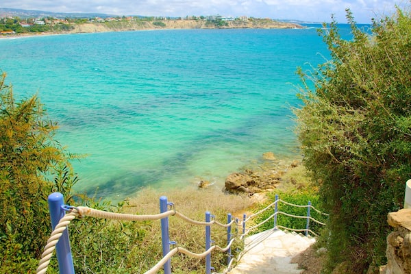 コーラル ベイ ビーチ どの含み 海岸線の眺め