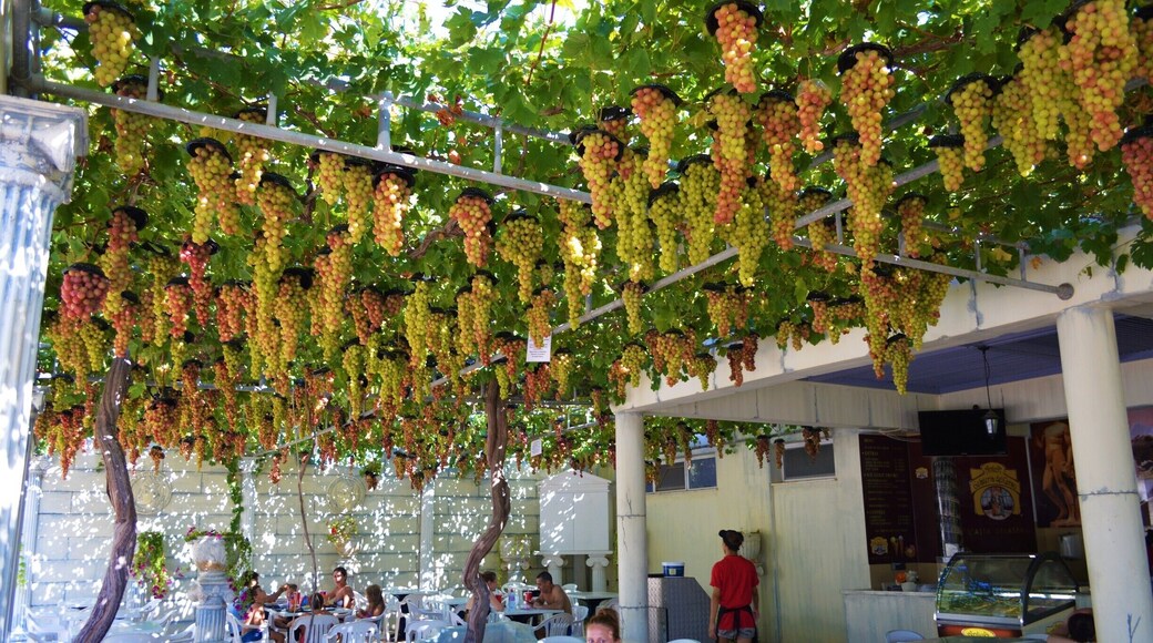 Grape restaurant at Aphrodite Waterpark