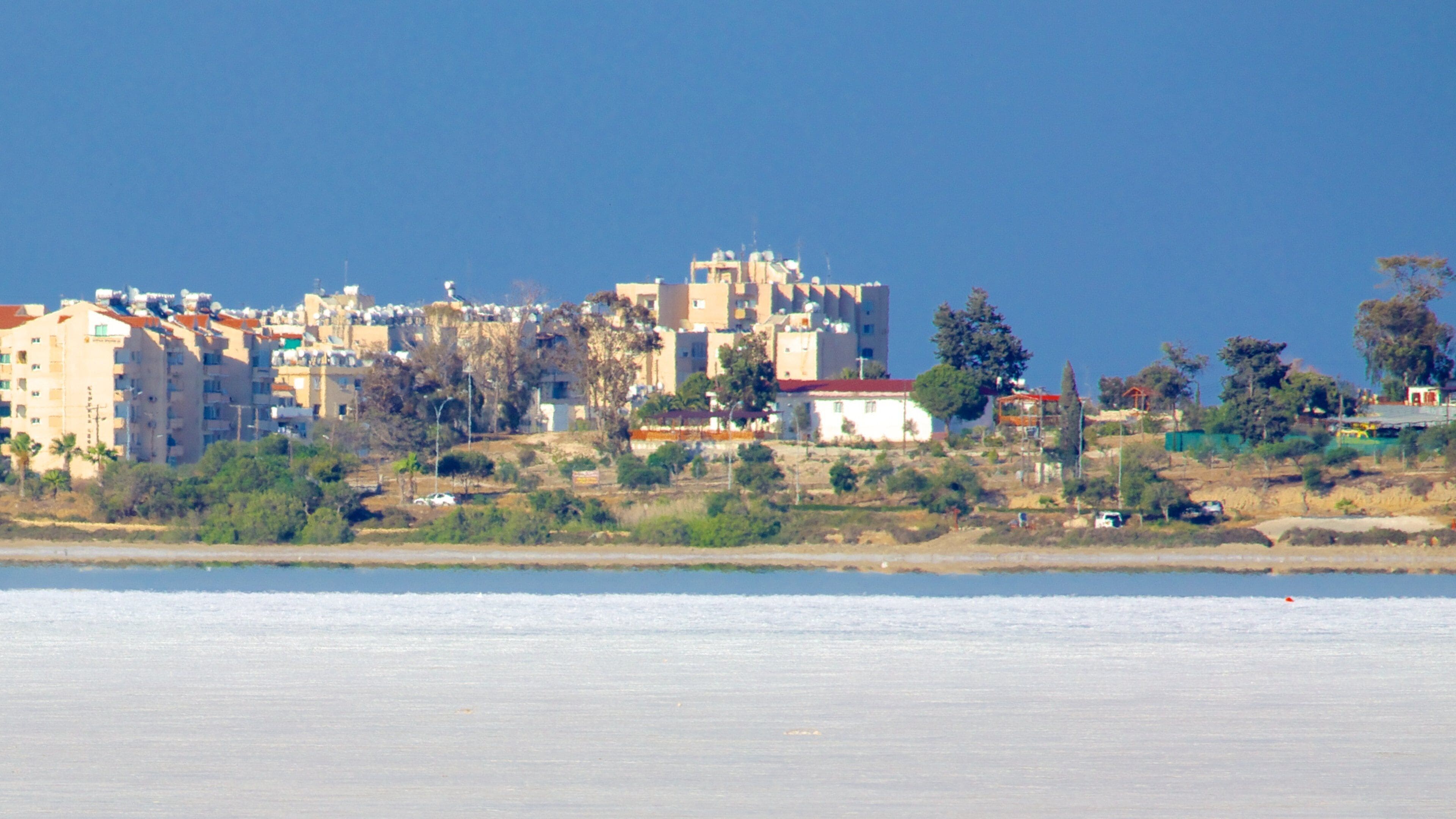 Larnaca Salt Lake showing general coastal views