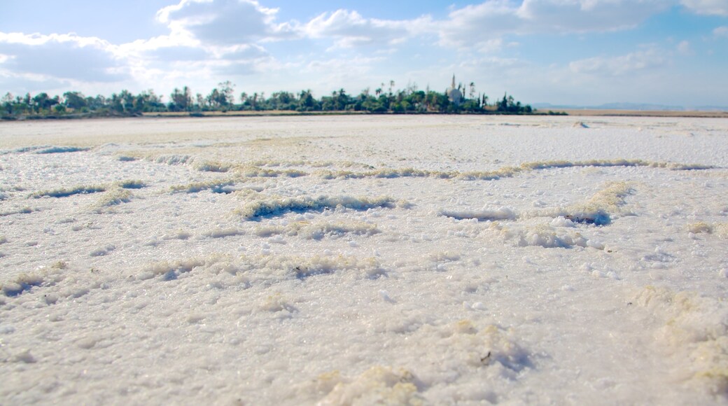 Larnaca Salt Lake featuring a lake or waterhole
