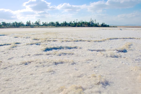 Larnaca Saltsø som viser en sø eller et vandhul