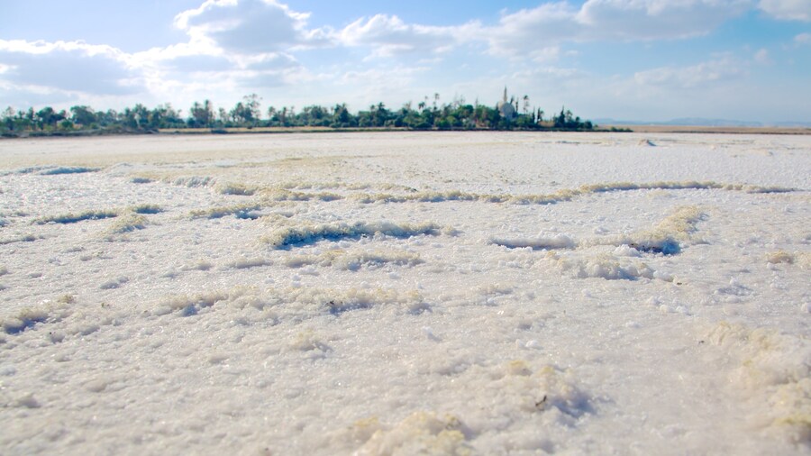 Larnaca Salt Lake featuring a lake or waterhole