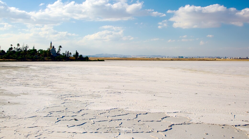 Larnaca Salt Lake which includes a lake or waterhole