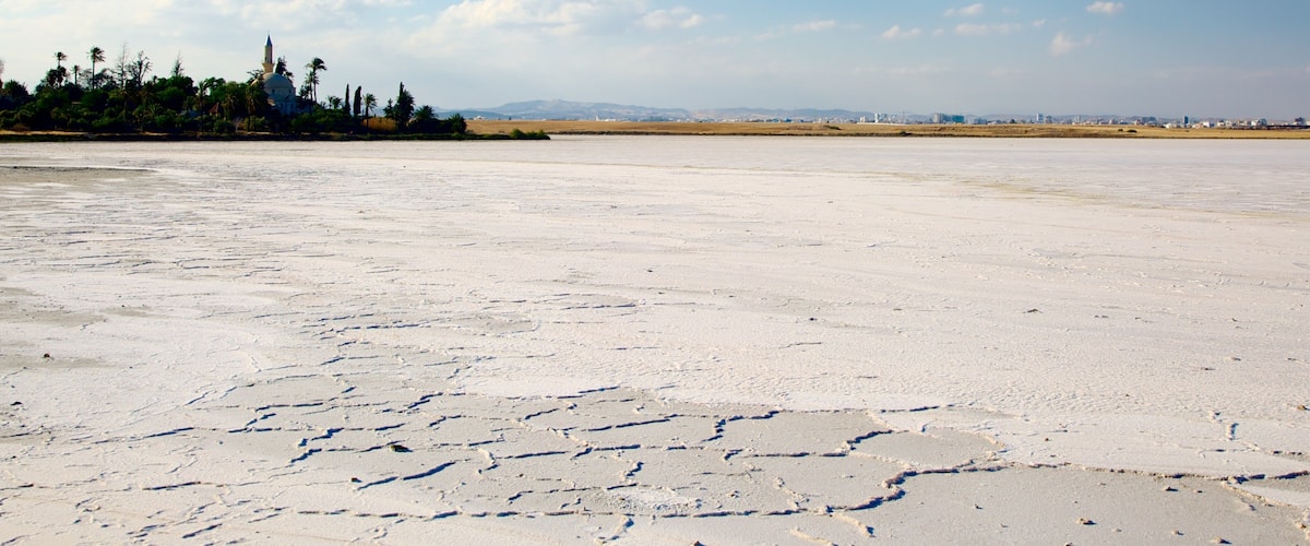 Larnaca Salt Lake which includes a lake or waterhole