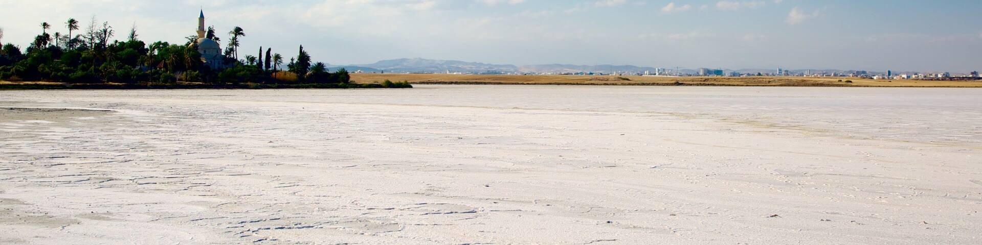 Larnaca Salt Lake which includes a lake or waterhole