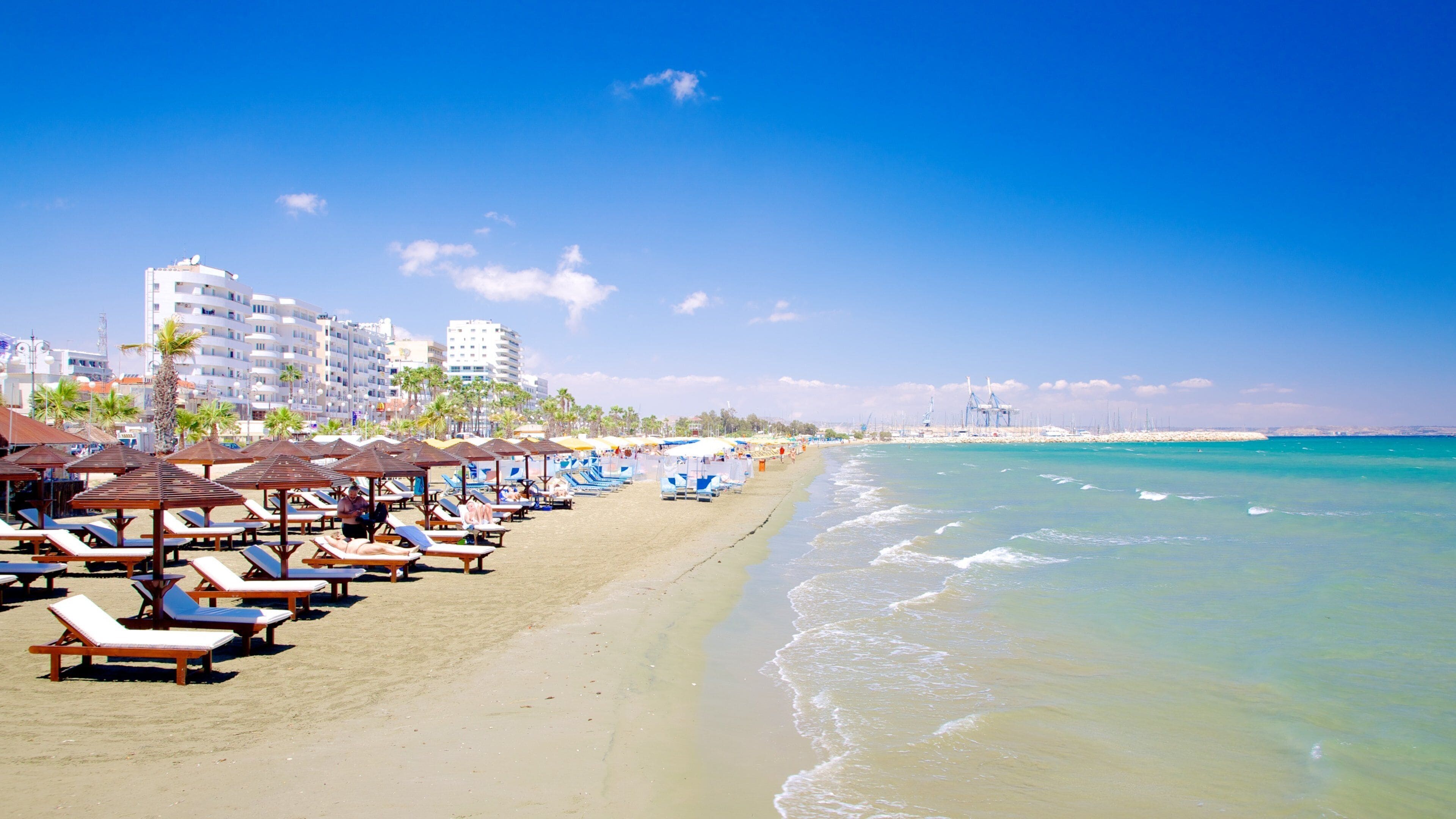 Finikoudes Beach showing a sandy beach