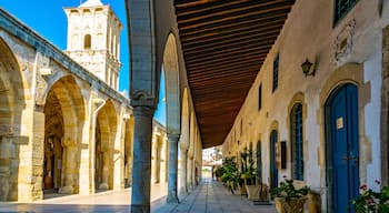 Centro di Larnaca