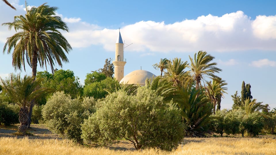 A mosque with a dome and minaret, surrounded by palm trees and dry grassland.