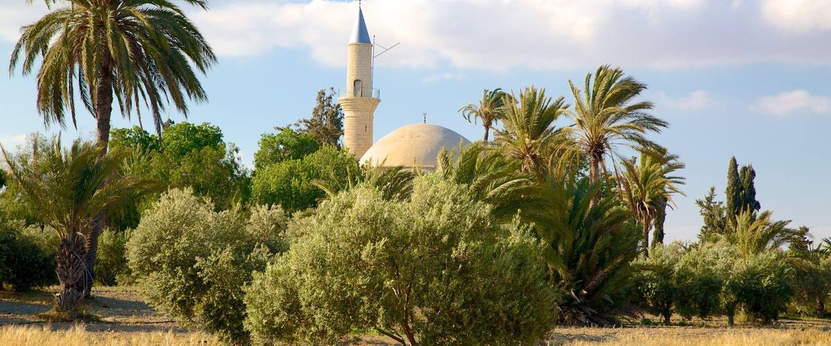 A mosque with a dome and minaret, surrounded by palm trees and dry grassland.