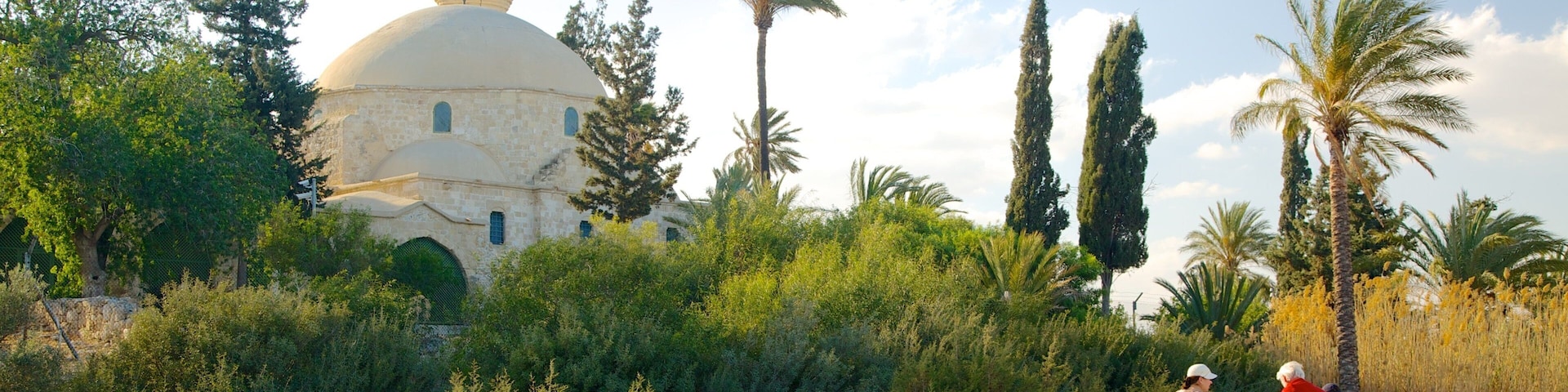 Hala Sultan Tekke mostrando un mezquita, aspectos religiosos y arquitectura patrimonial