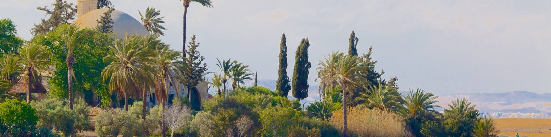 A mosque with a dome and minaret, surrounded by palm trees and cypress trees in a desert landscape.