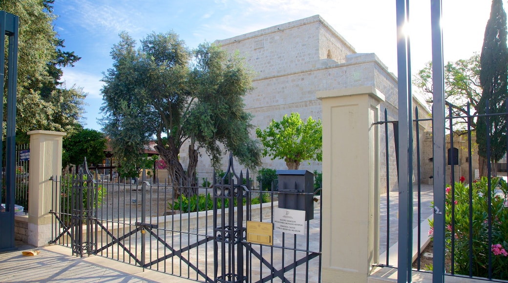 Limassolin linna featuring linna tai palatsi