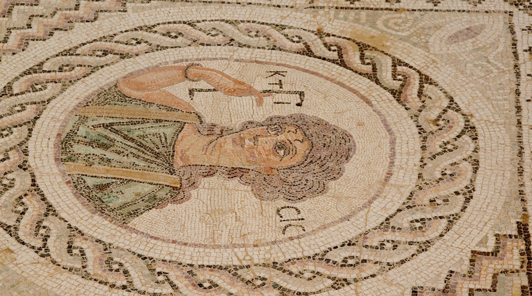 Kourion Ruins showing interior views