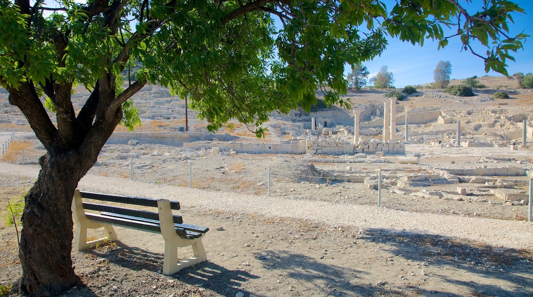 Ruinas de Amathus que incluye una ruina