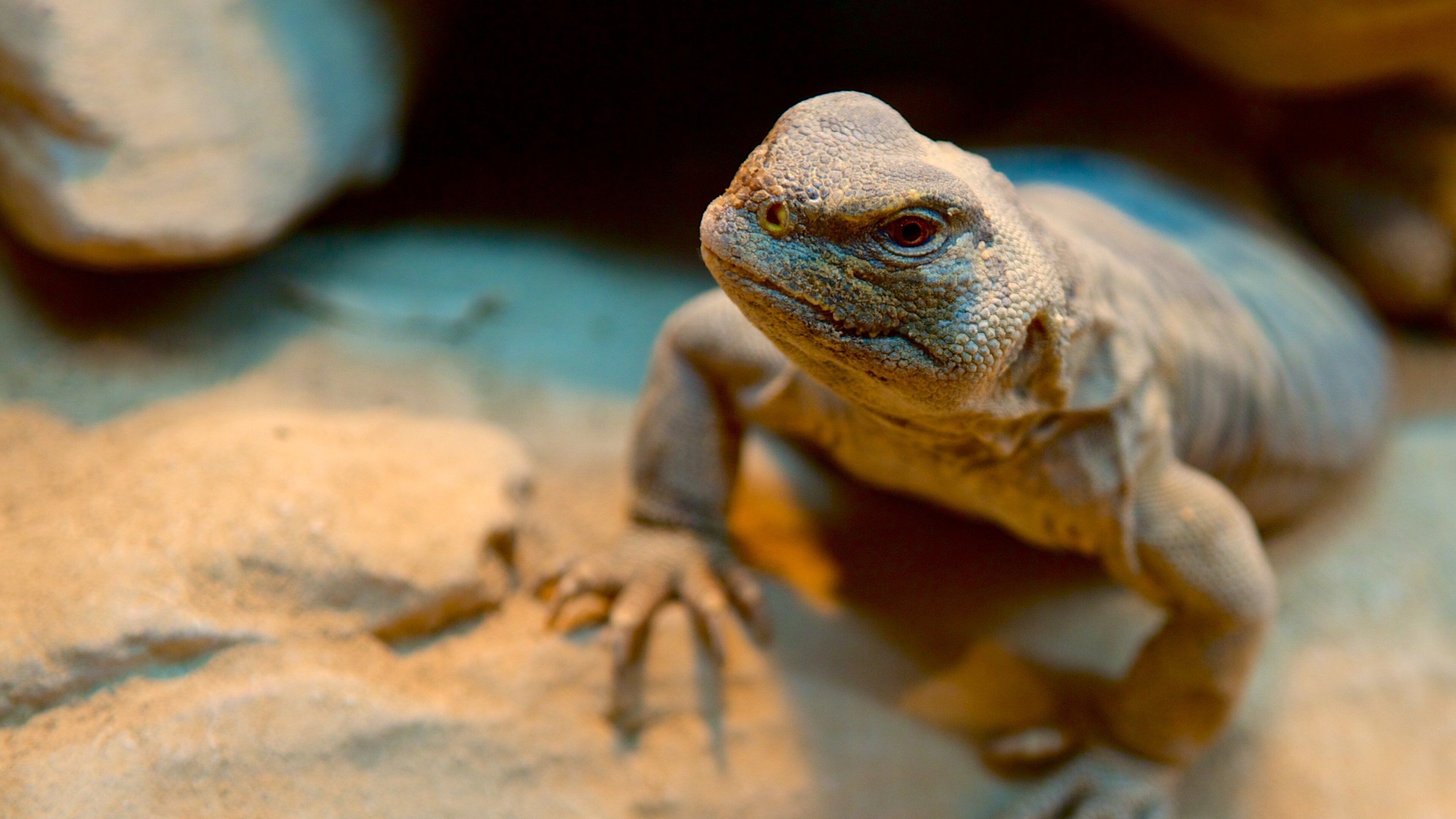 Museo di storia naturale di Creta