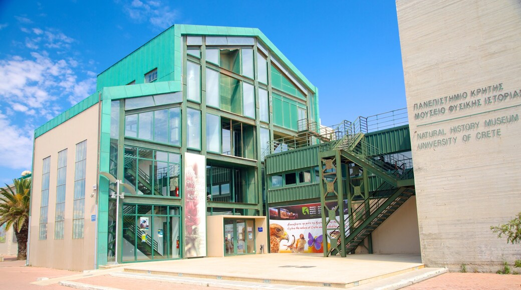 Museo di storia naturale di Creta