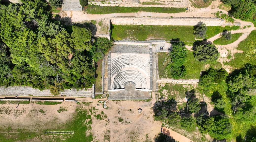 An aerial view of a historical site with a central open area, surrounded by dense greenery and stone structures.