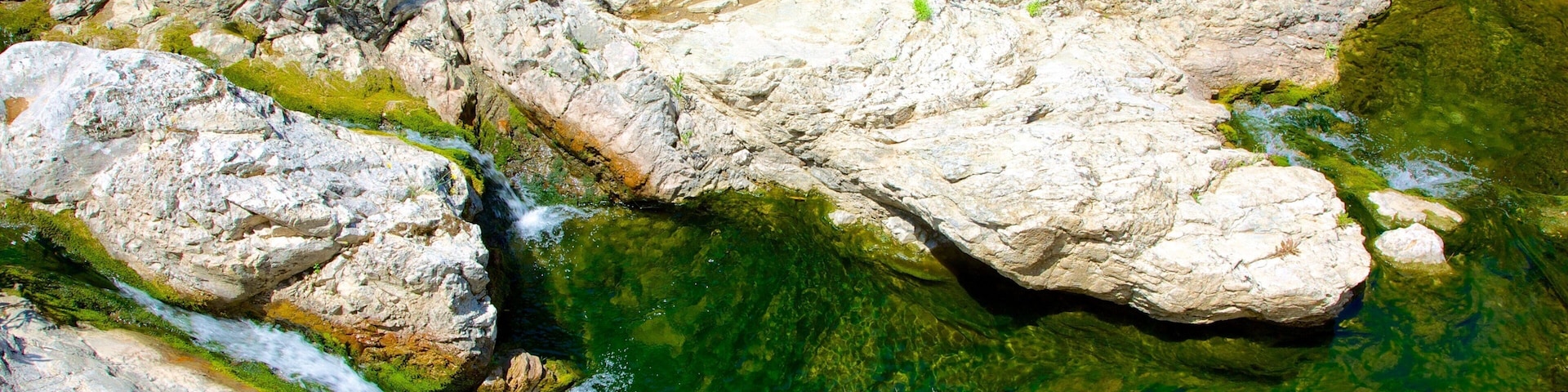 Seven Springs featuring rapids and a river or creek