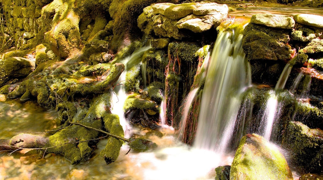 De syv kildene som viser vannfall