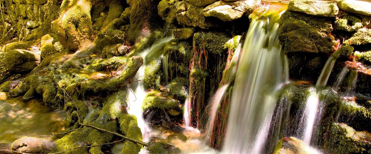 Seven Springs showing a waterfall