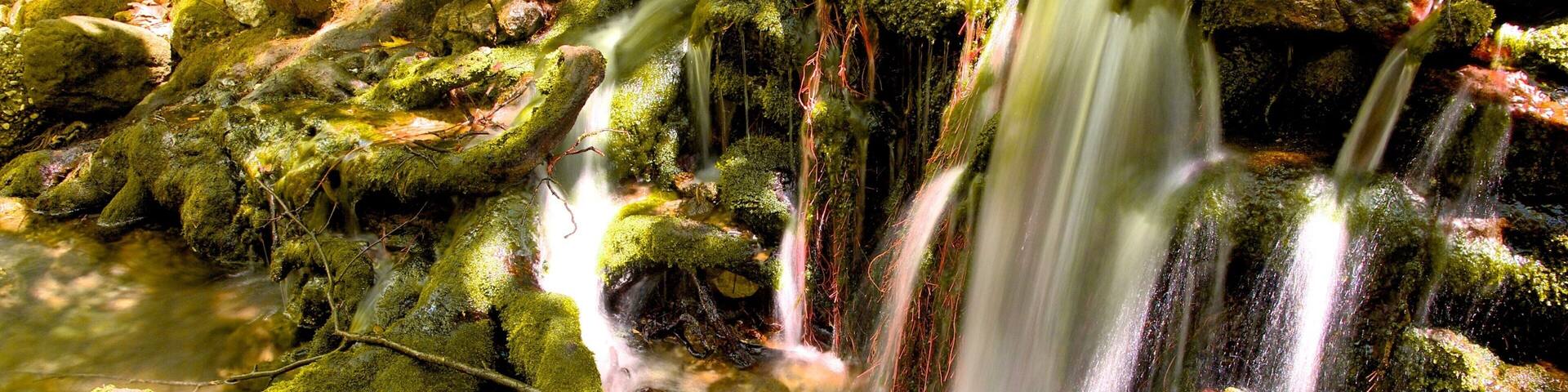 Seven Springs featuring a waterfall