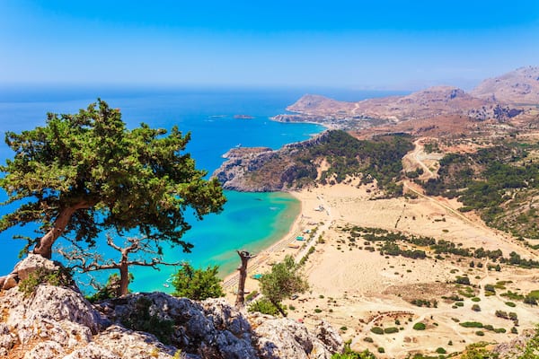 A coastal landscape with a prominent pine tree, turquoise waters, and a sandy beach.