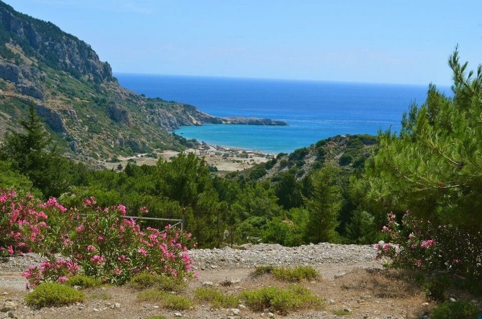 A view of Tsambika Beach in Rhodes, Greece.
#greece #island #rhodes #kolymbia #tsambika #mountain #monastery #view #scenic #nature #coast #beach #seaside #sea #sand #pretty #photo #summer #sun #hot #ttot #holiday #vacation #travel #exploring #adventure #relaxing #fun #memories #goodtimes