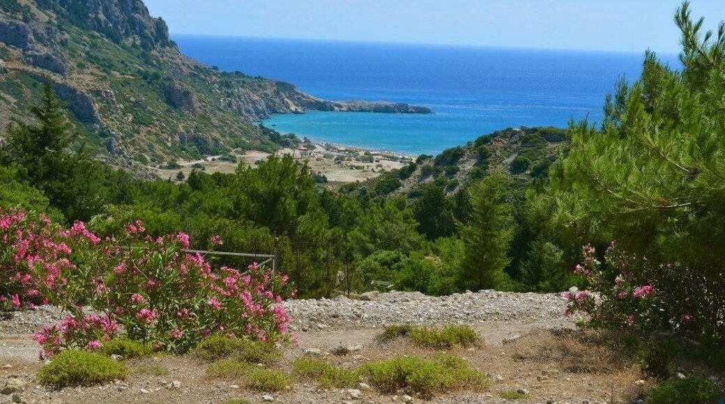 A view of Tsambika Beach in Rhodes, Greece.
#greece #island #rhodes #kolymbia #tsambika #mountain #monastery #view #scenic #nature #coast #beach #seaside #sea #sand #pretty #photo #summer #sun #hot #ttot #holiday #vacation #travel #exploring #adventure #relaxing #fun #memories #goodtimes