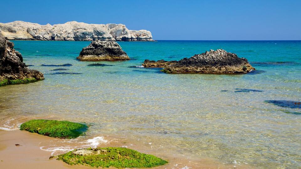A coastal scene with clear turquoise waters, rocky outcrops, and green algae-covered rocks.