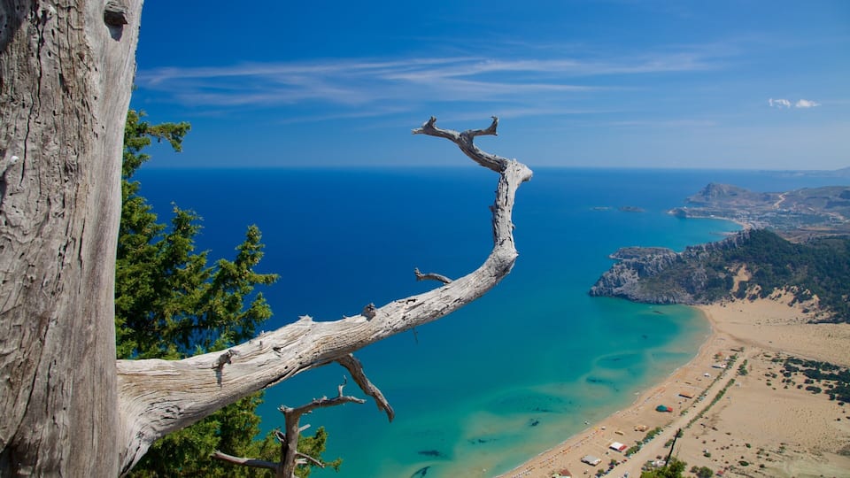 A coastal landscape with a prominent dead tree branch extending over the sea, a beach, and distant rocky hills.