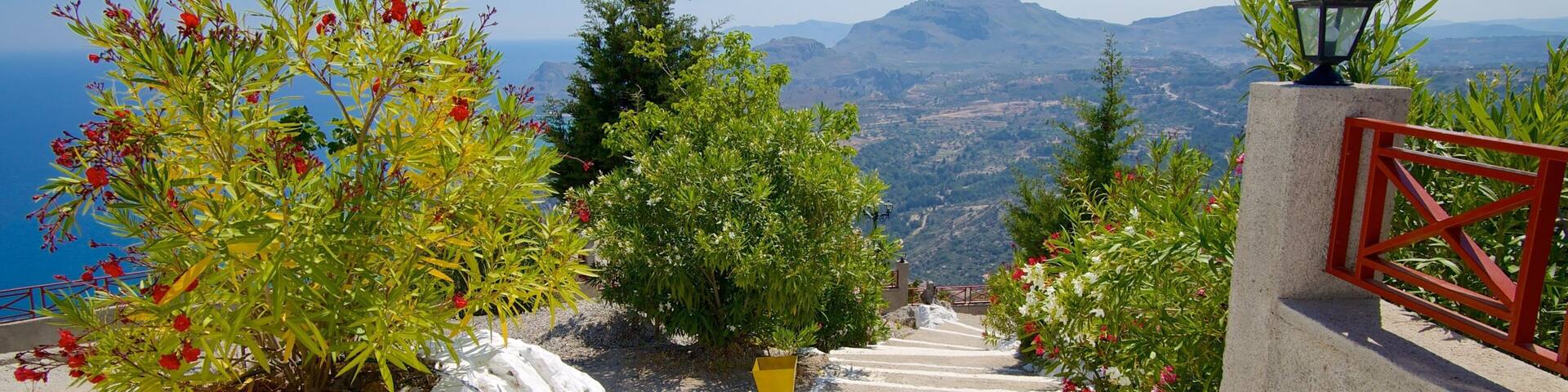 Tsambika Monastery which includes religious aspects, landscape views and flowers