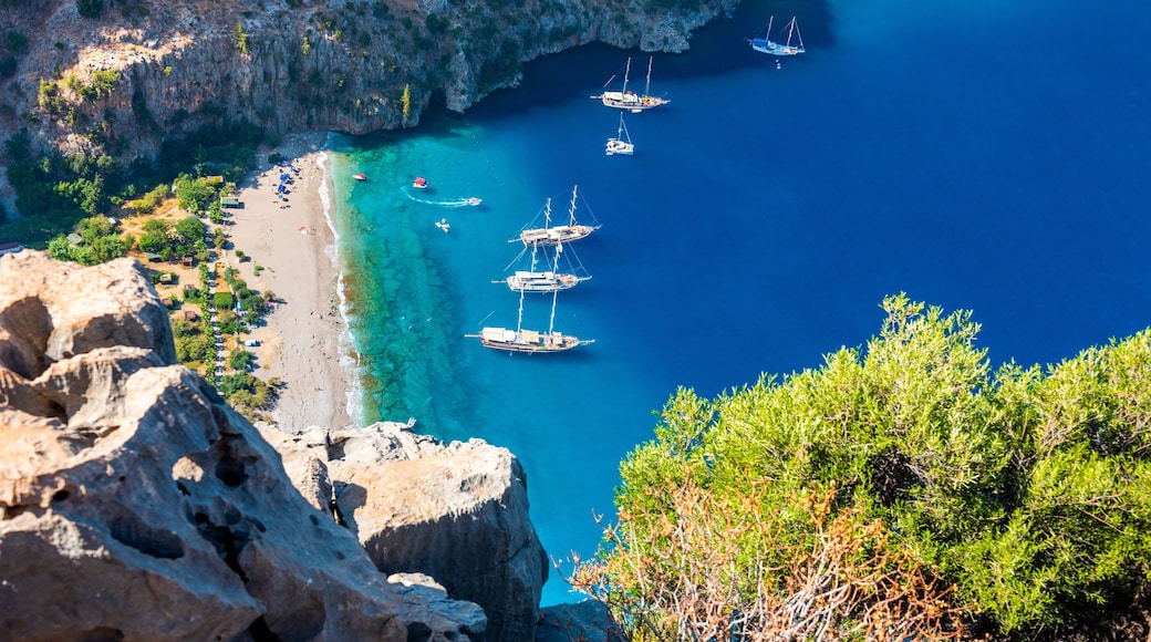 Butterfly Valley (Turkish: Kelebekler Vadisi) is a valley in Fethiye district, Mugla Province, on the Mediterranean coast of Turkey. Oludeniz - Fethiye, Mugla, Turkey.