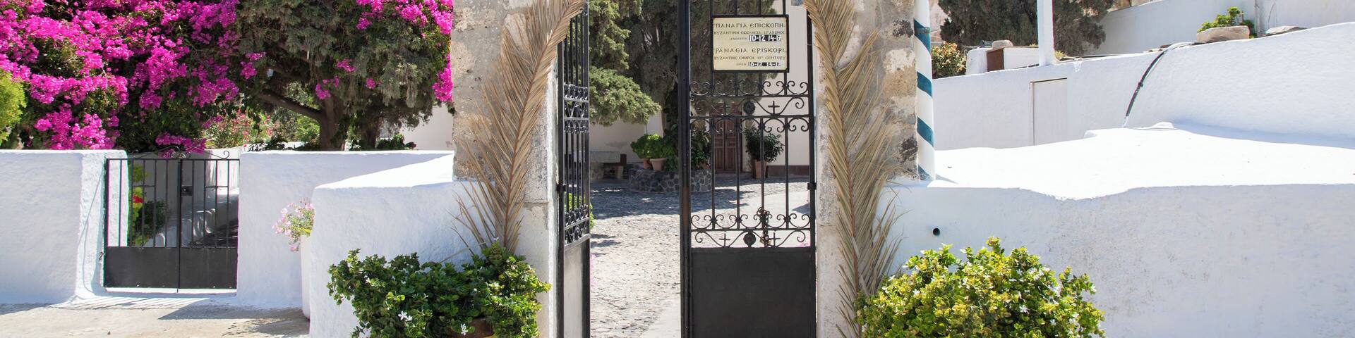 A white-walled building with a black gate, potted plants, and pink flowers.