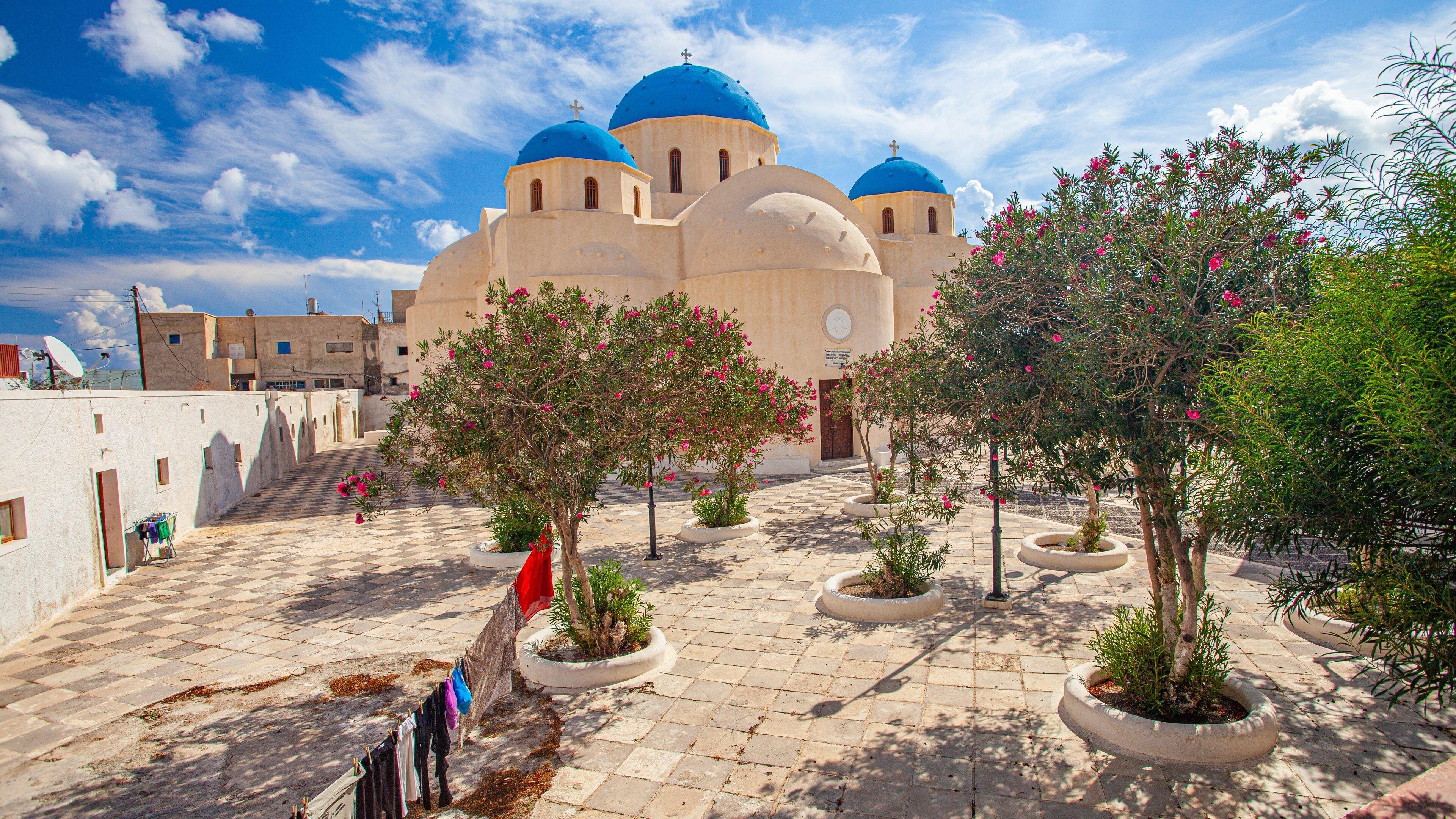Santorini showing wildflowers