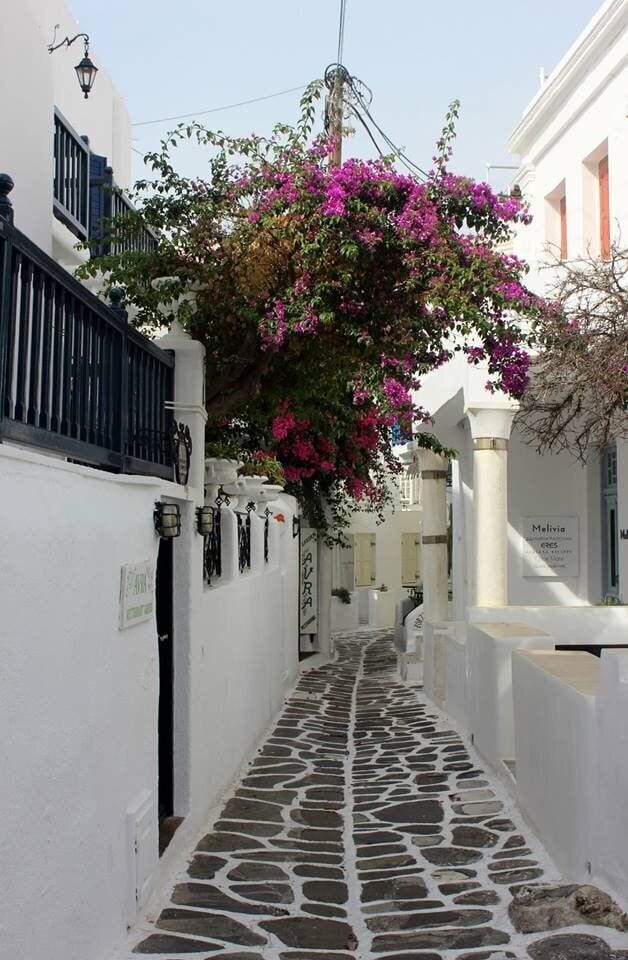 0_4ff74a9e-1edf-4a59-9392-ce07f955a140_raw