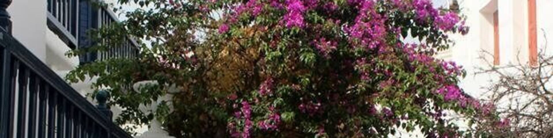 0_4ff74a9e-1edf-4a59-9392-ce07f955a140_raw