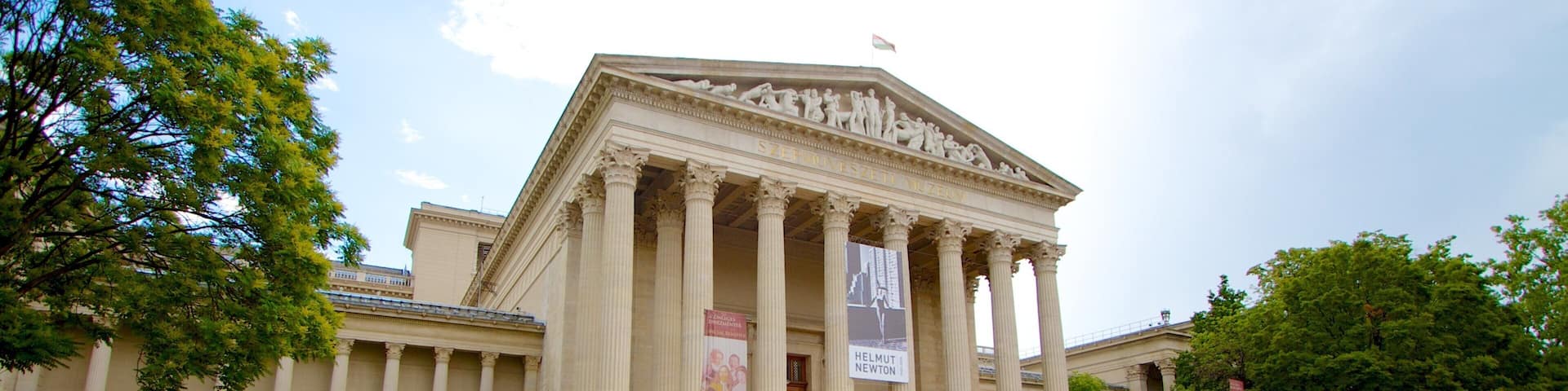 Museum of Fine Arts featuring heritage architecture, flowers and a park