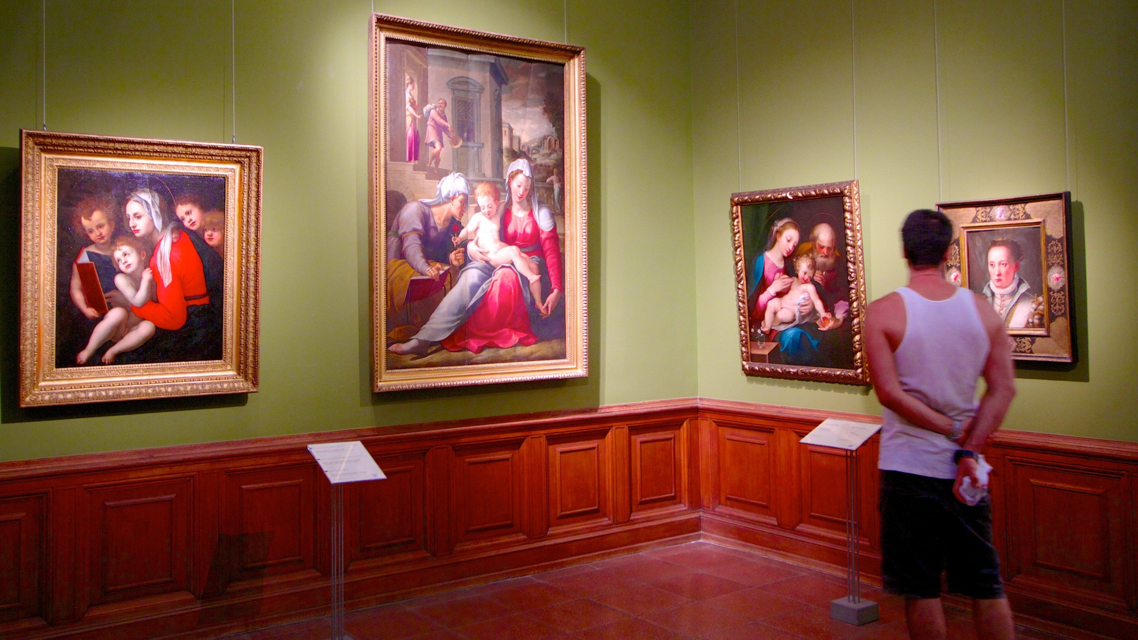 Museo delle Belle Arti mostrando vista interna e arte cosi come ragazzo