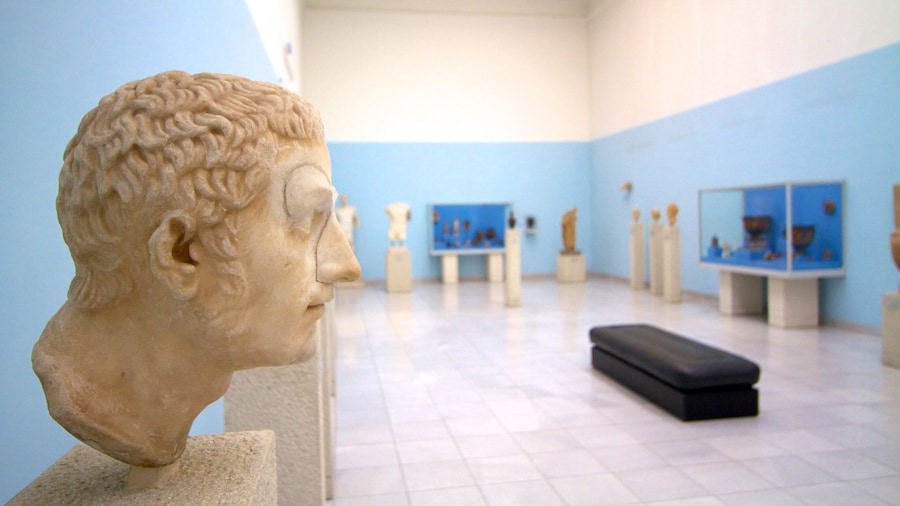 Museum of Fine Arts featuring art and interior views