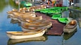 A row of numbered wooden boats docked at a pier.