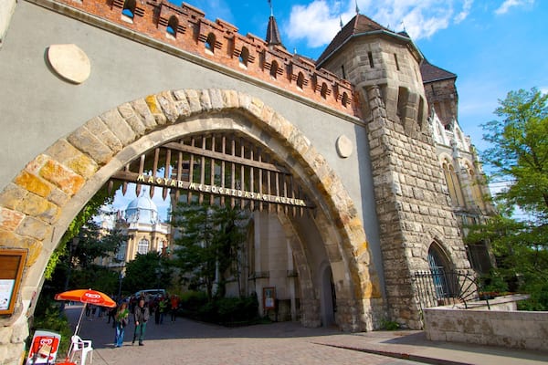 Castillo de Vajdahunyad que incluye palacio y arquitectura patrimonial
