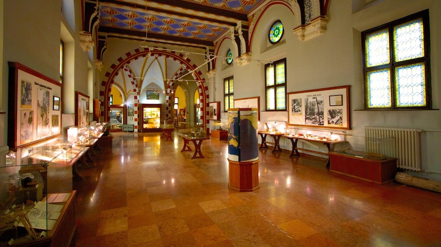 Lâu đài Vajdahunyad trong đó bao gồm lâu đài hoặc cung điện và cảnh nội thất