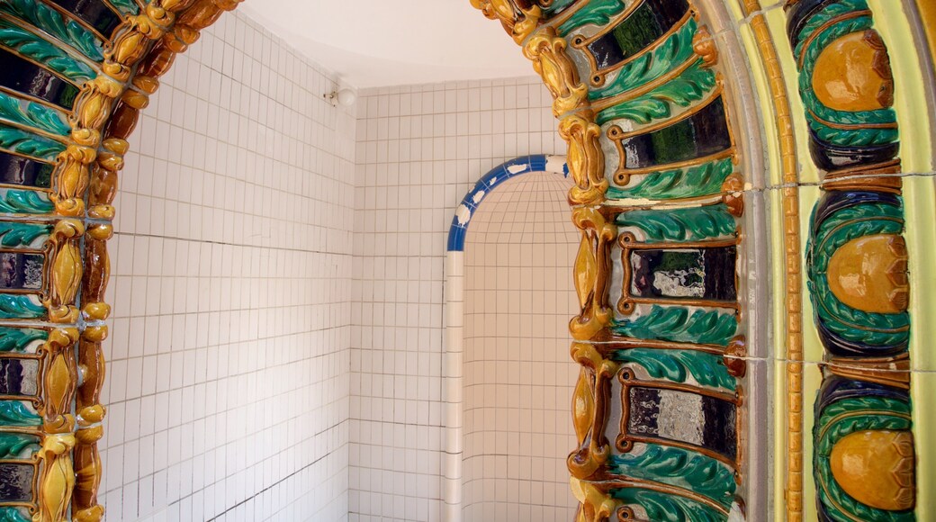 Gellert Thermal Baths and Swimming Pool featuring a day spa and interior views