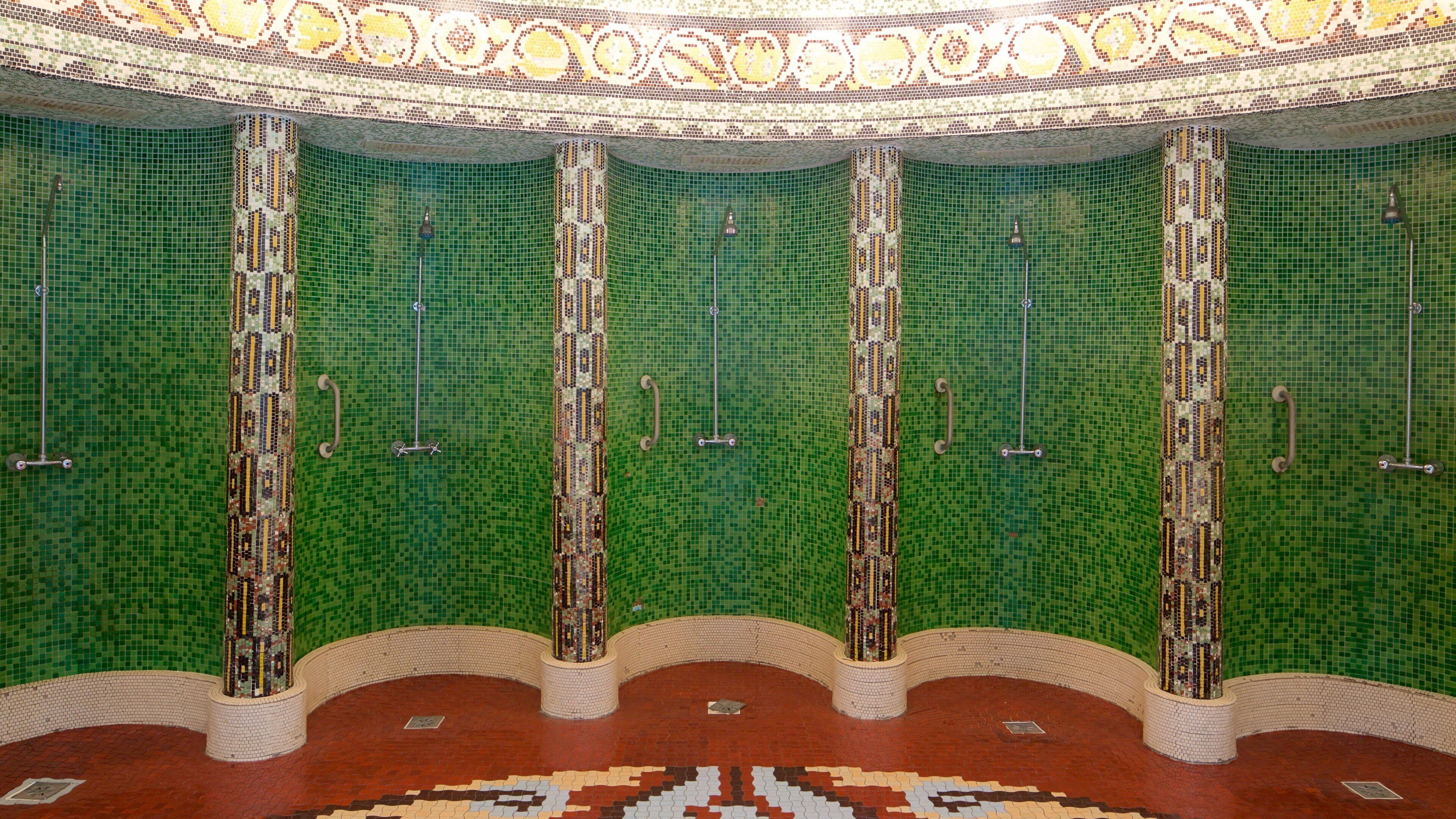 Gellért furdo termalbad och simbassäng som visar ett dagsspa och interiörer