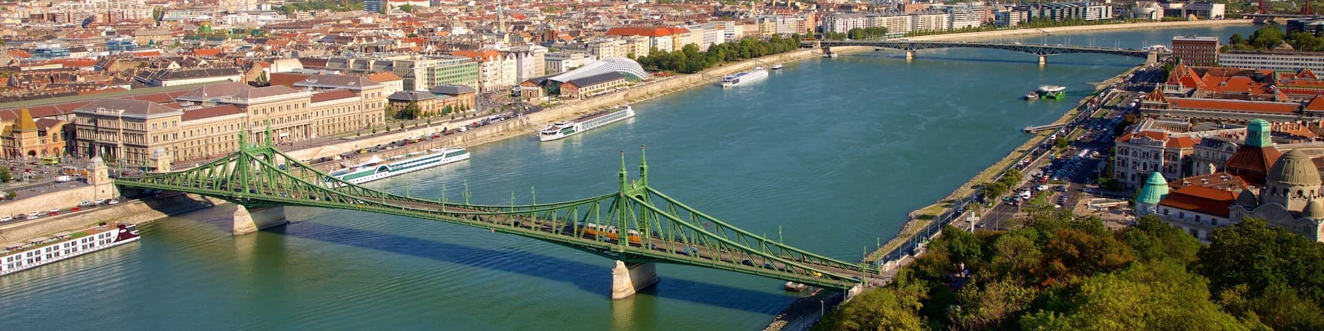 Liberty Bridge which includes a city, a bridge and a river or creek