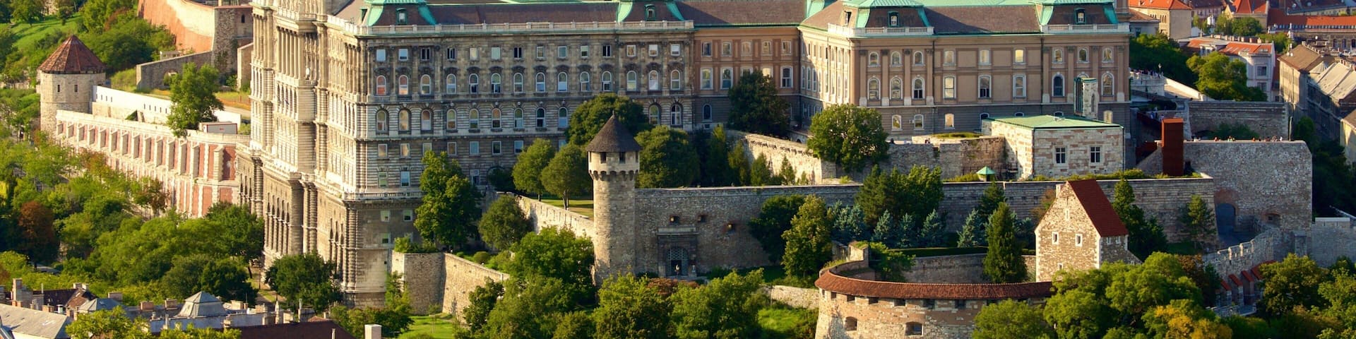 Citadellet som visar en stad, chateau eller palats och historisk arkitektur