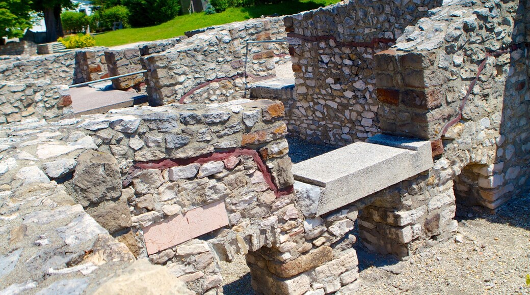 Bảo tàng và khu di tích Aquincum có tính năng di chỉ